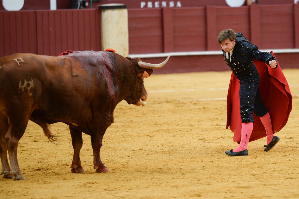 Las imágenes de la novillada en La Malagueta de la Feria taurina de Málaga de 2021.