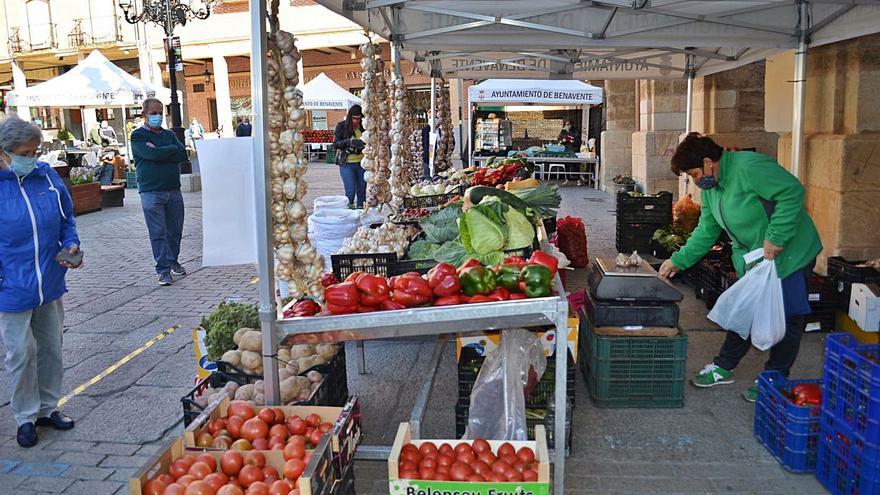 La Feria del Pimiento de Benavente se reduce a dos jornadas para tomar nuevo impulso