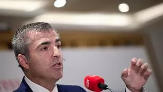 El vicepresidente canario ve "vomitivo" que el Gobierno "ponga excusas para no solicitar ayuda a la UE"