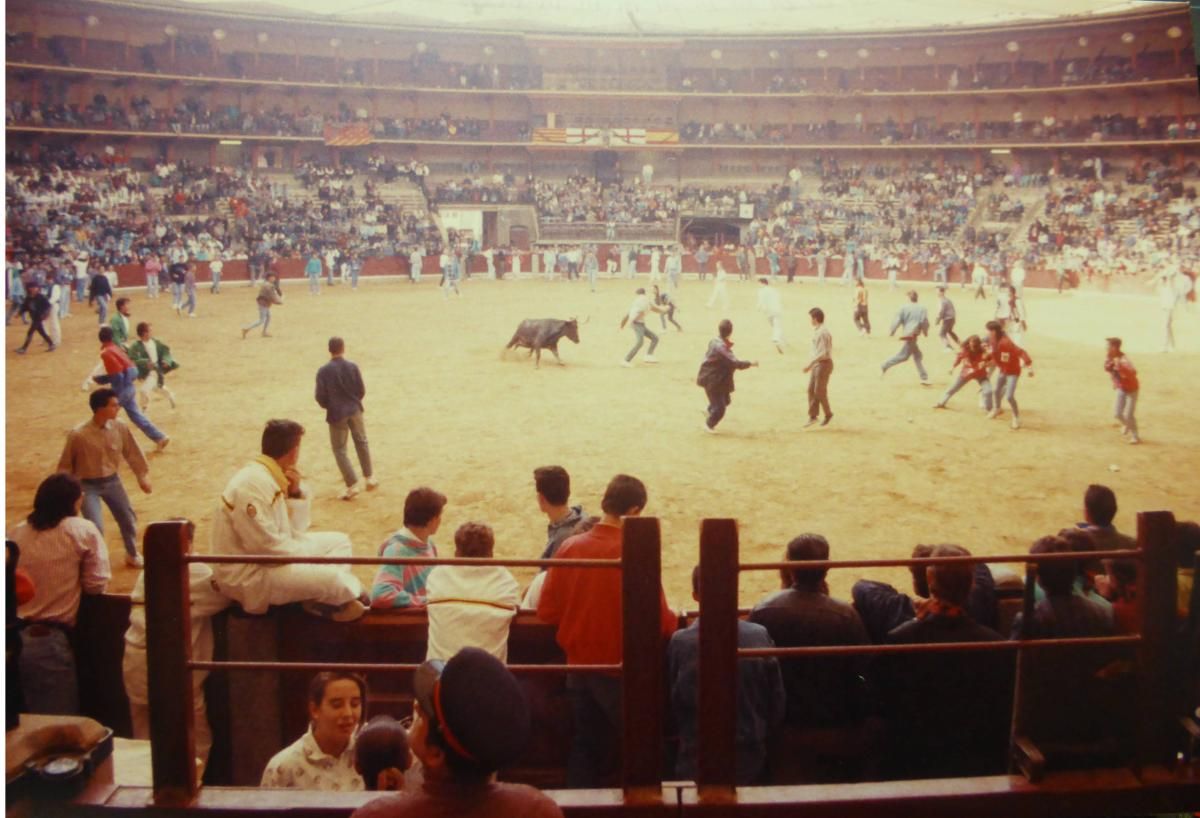 Los festejos taurinos