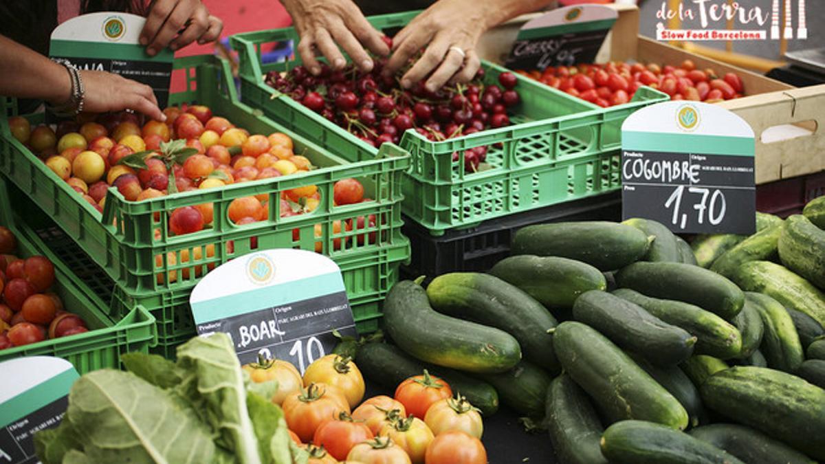 Imagen de la primera edición del Mercat de la Terra SlowFood.