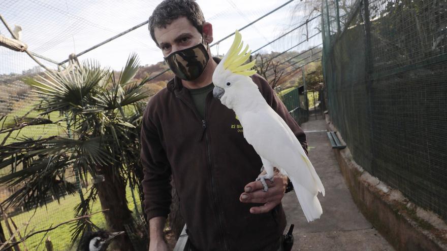 El parque zoológico &quot;El Bosque&quot; reabre tras mes y medio cerrado