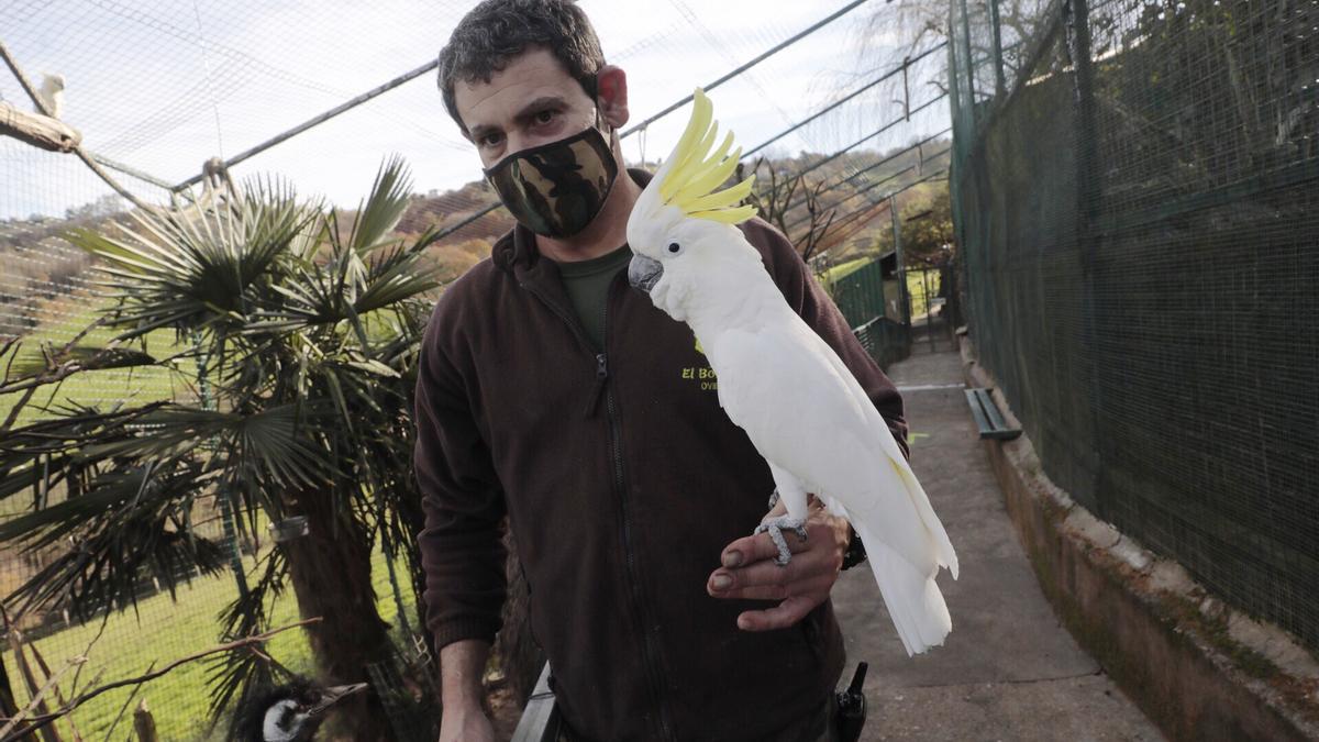 El parque zoológico "El Bosque" reabre tras mes y medio cerrado