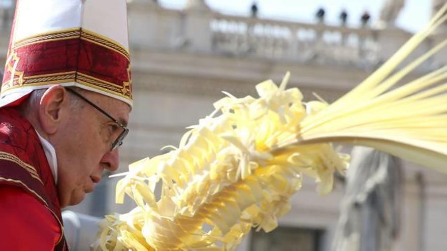 Santa Misa de Domingo de Ramos