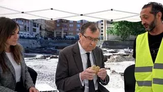 El primer dromedario hallado en la ciudad de Murcia sale a la luz en el yacimiento de San Esteban