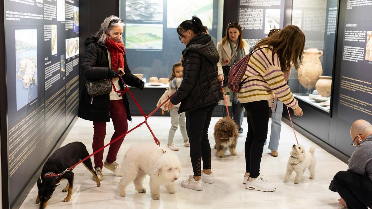 Mujeres acompañadas de su perro en una visita el Museo de Vélez-Málaga.