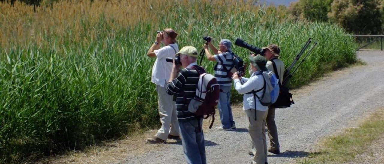 El turismo ornitológico se asienta en Sagunt