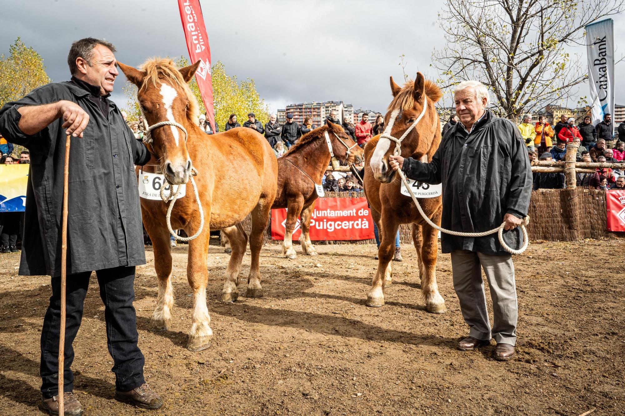 Totes les imatges de la Fira del Cavall de Puigcerdà