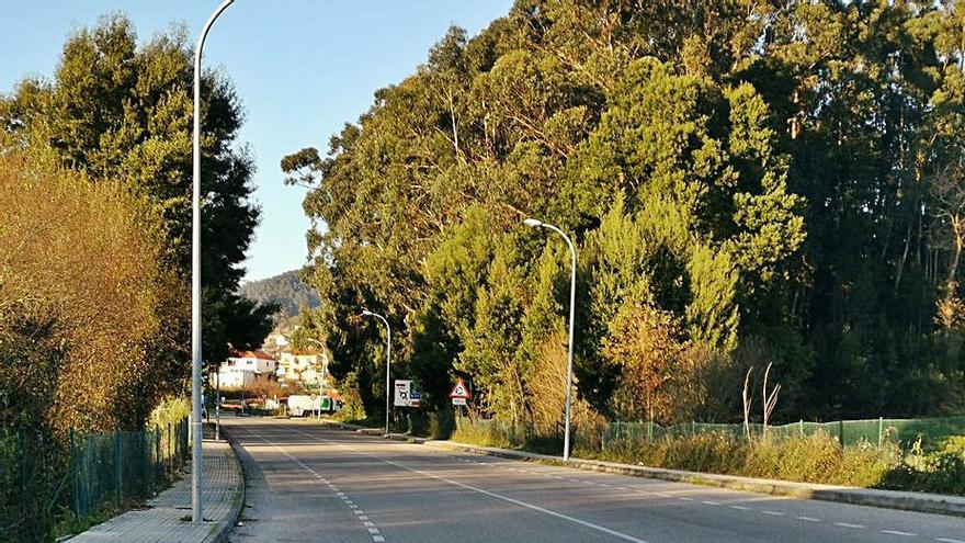 El vial de acceso al corredor libre de autobuses.  