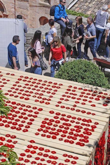 Primer diumenge de Temps de Flors