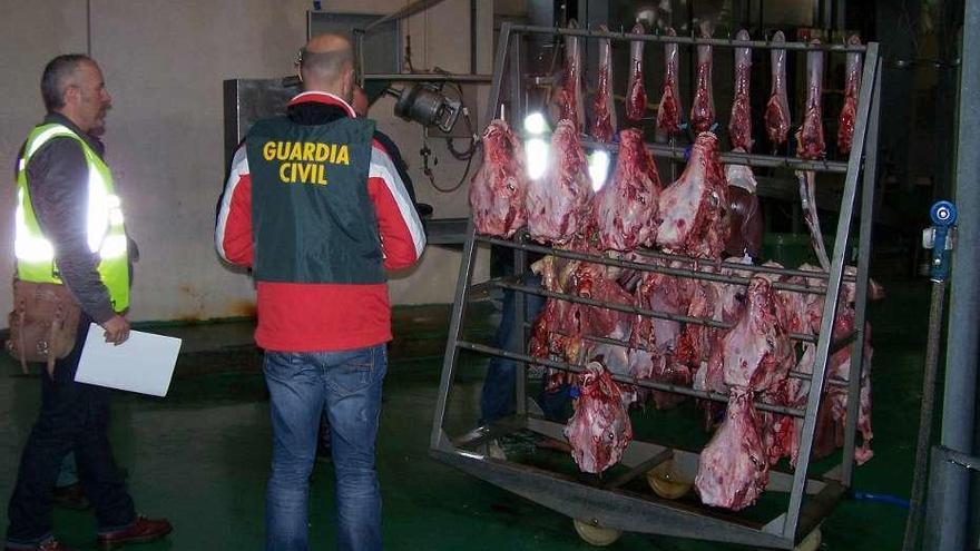 La red de cuatreros que utilizó mataderos de Pontevedra y Valencia será juzgada en Galicia