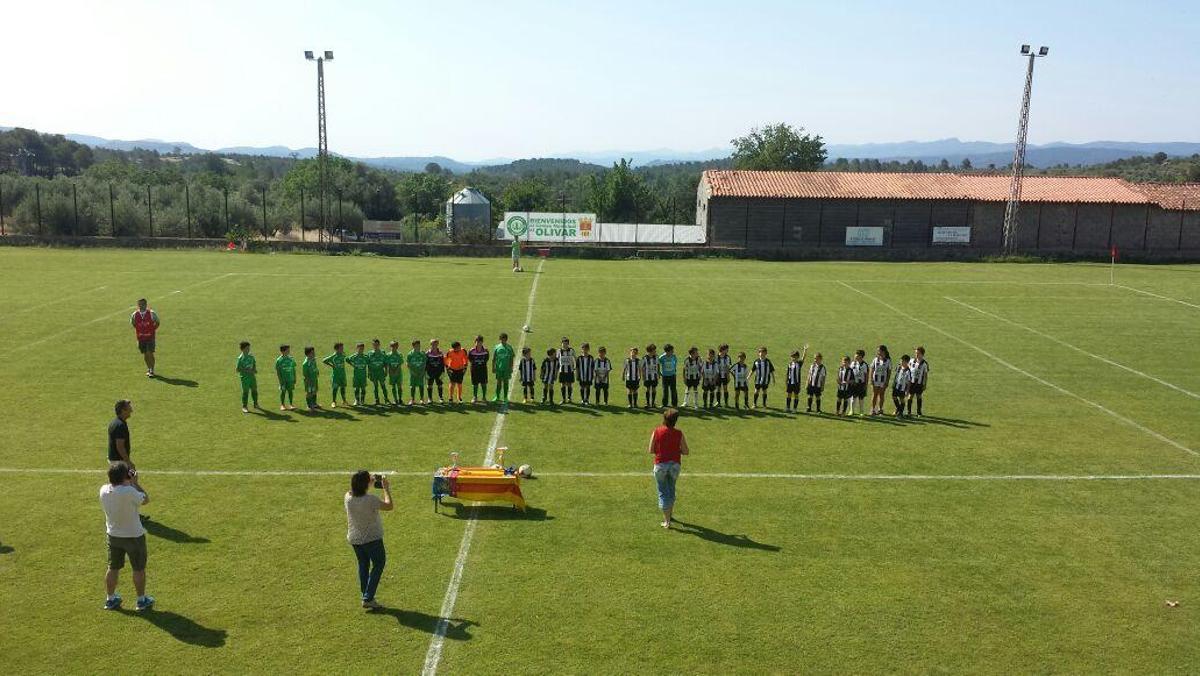 olivar1