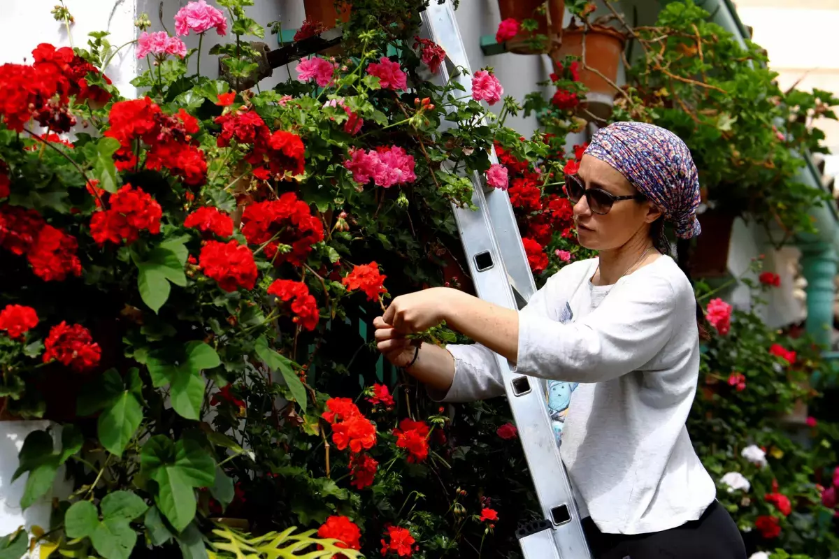 Una mujer cuida sus plantas en uno de los patios de Córdoba.