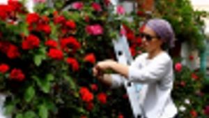 Una mujer cuida sus plantas en uno de los patios de Córdoba.