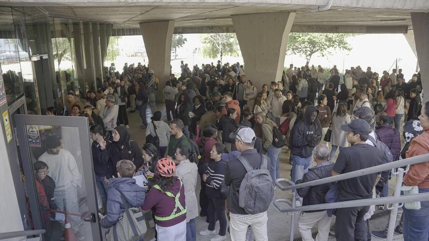 El reparto de turnos disipa los nervios en la cola para obtener el informe de vulnerabilidad en Palma: "Está mucho mejor organizado que ayer"