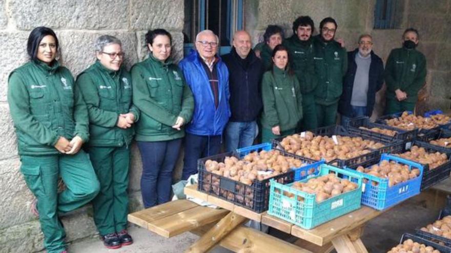 Cáritas repartirá más de 200 kilos de kiwis cultivados en Reboreda