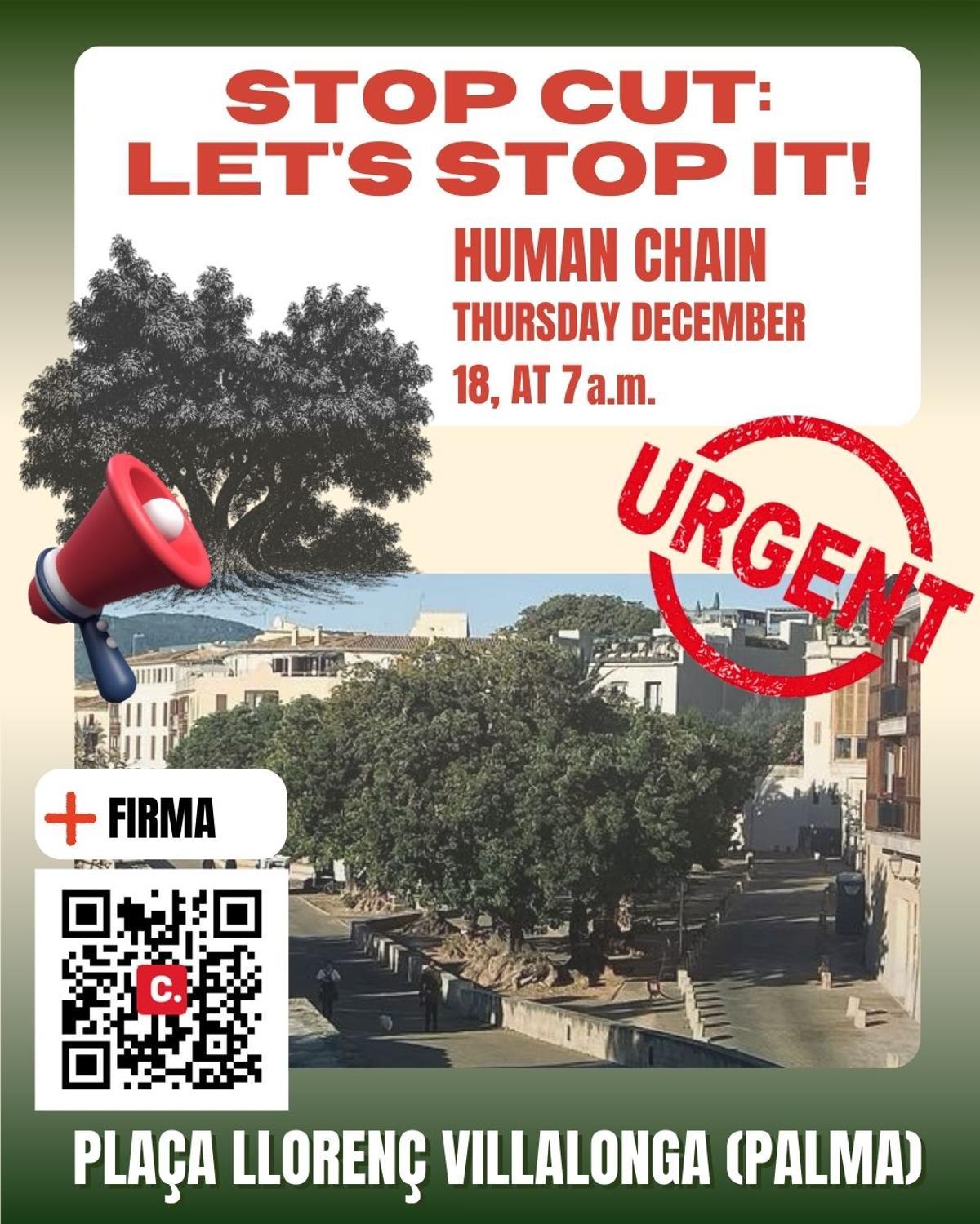 Cartel de la convocatoria del jueves contra la tala de los bellasombra.