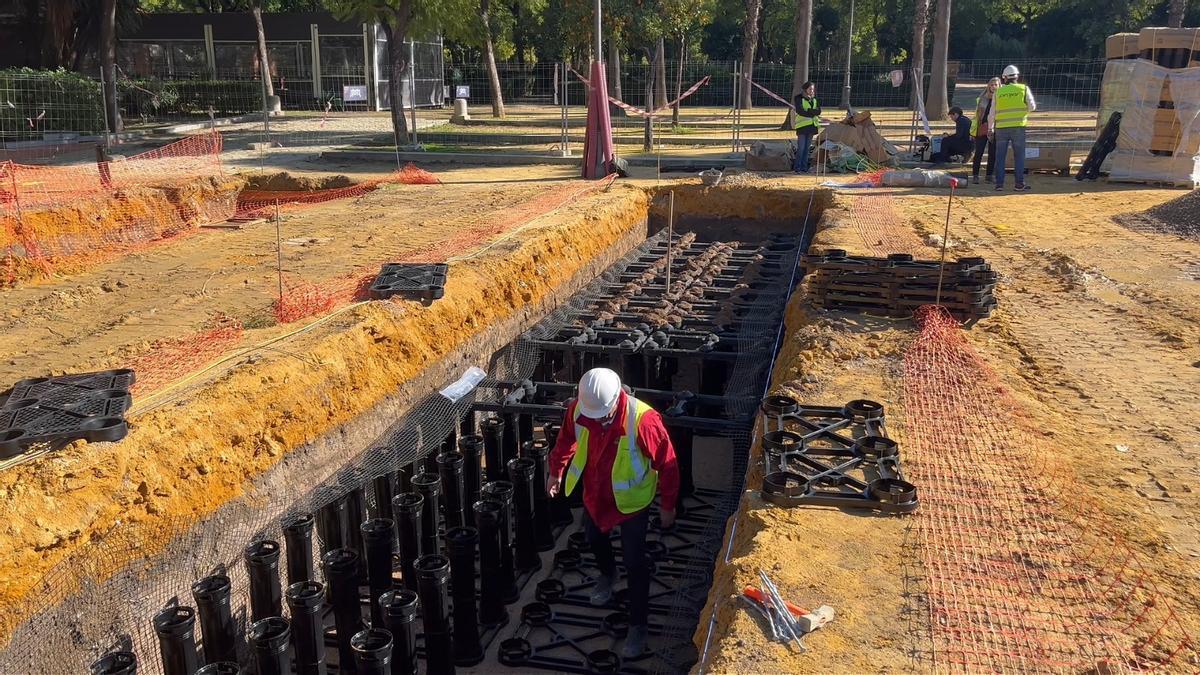 La instalación de geoceldas permite crear más suelo vivo bajo superficie, favoreciendo el crecimiento de raíces.t 10.18.42