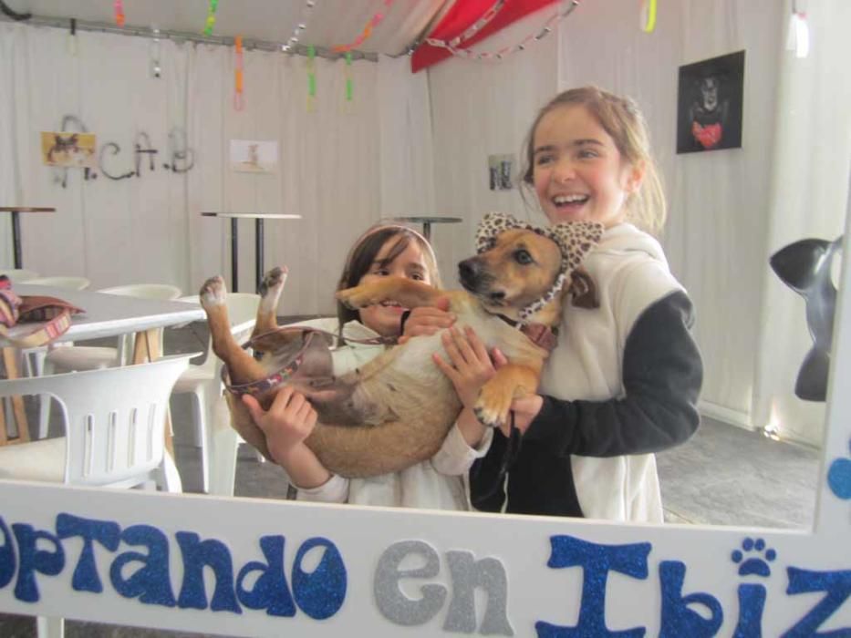 Fiesta en beneficio de los animales