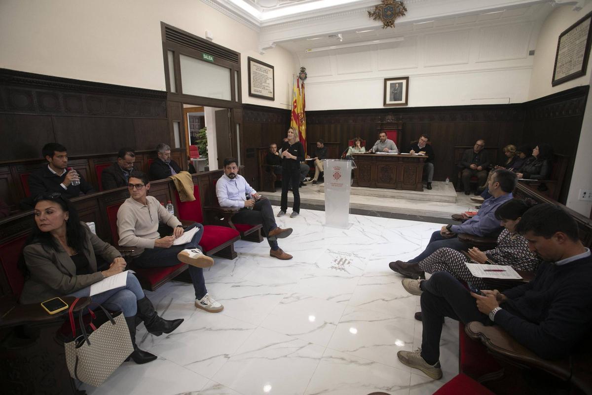 Un momento del pleno.
