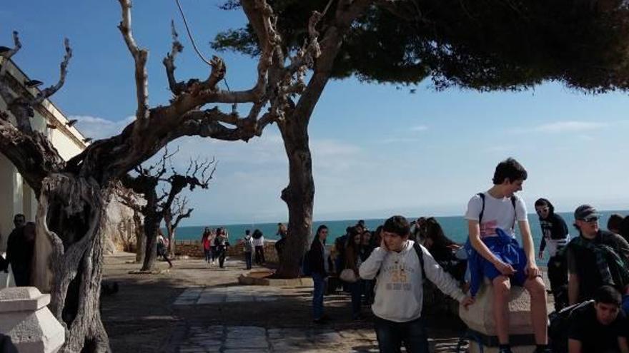 Las visitas al Museu de la Mar de Peñíscola aumentan un 20 % en Pascua