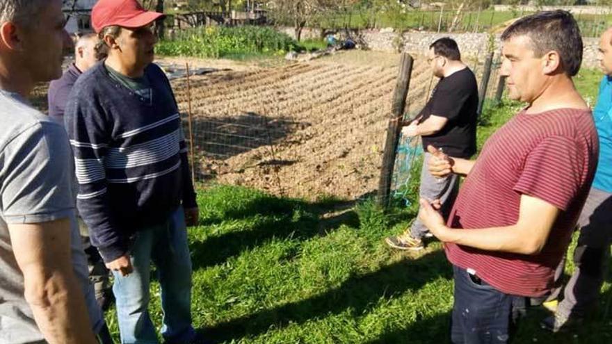 Vecinos de Coviella en el curso de agricultura ecológica.