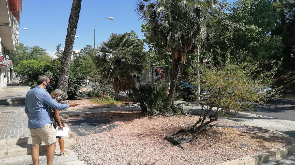 Uno de los jardines al inicio de la avenida de Dénia.