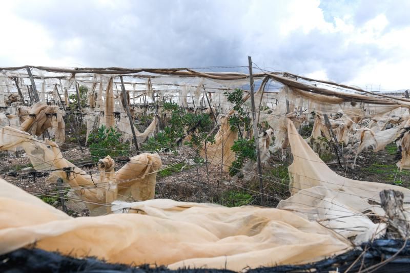 Invernaderos abandonados en la zona de acceso a Playa Vargas