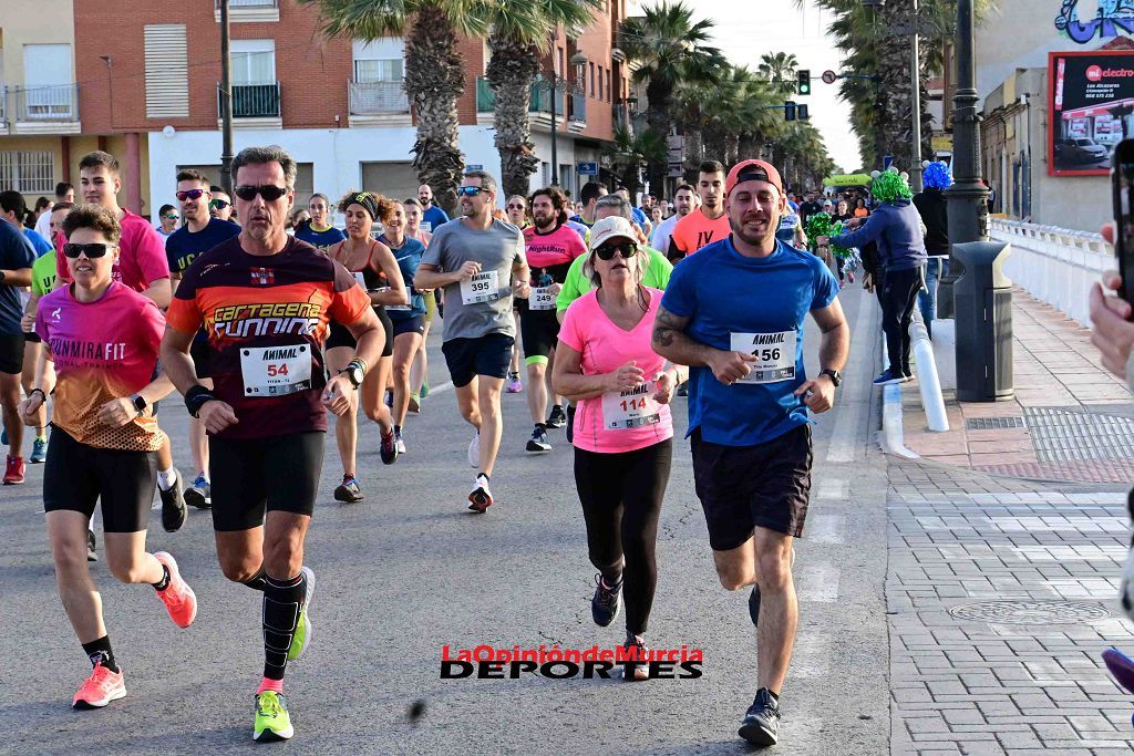 Carrera 5k Animal en Los Alcázares 2024 (I)