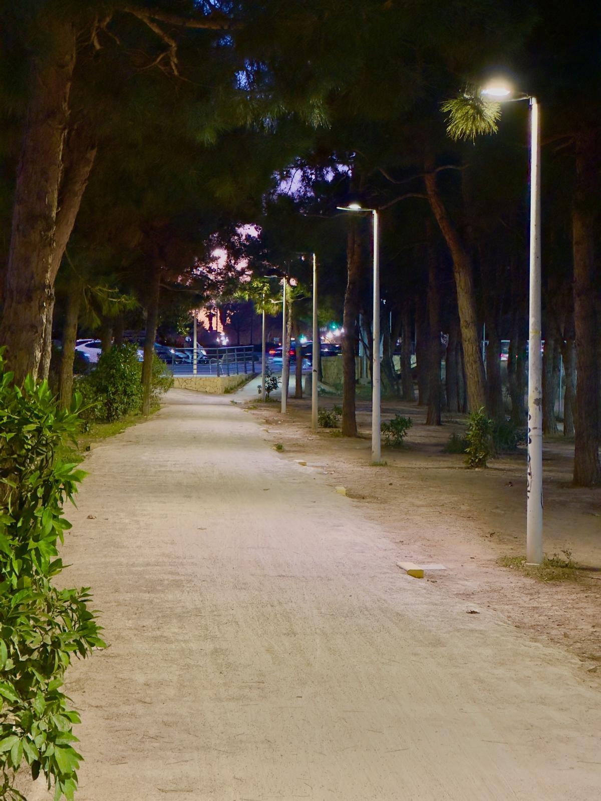 Iluminación en el carril bici de la Pinadeta en Alboraia.