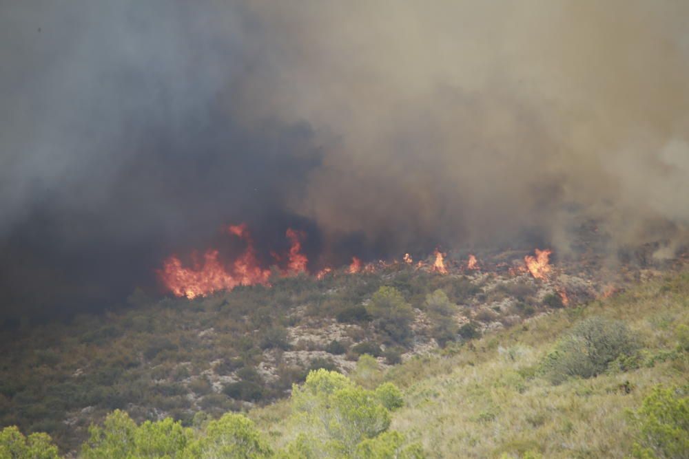 Incendio forestal en Llutxent