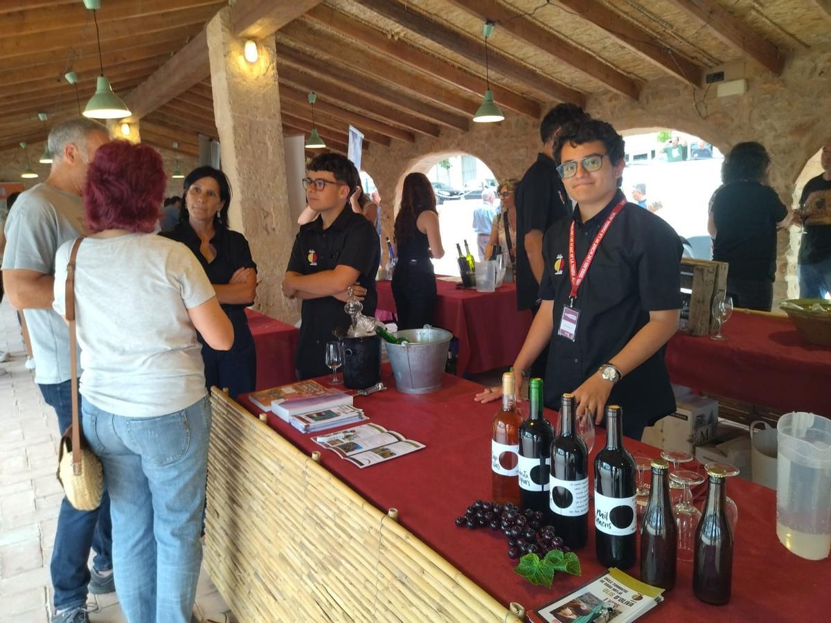 Vino, igualdad y nueva ruralidad: la Mostra de Vins Singulars i de Poble, en imágenes Vino, igualdad y nueva ruralidad: la Mostra de Vins Singulars i de Poble, en imágenes