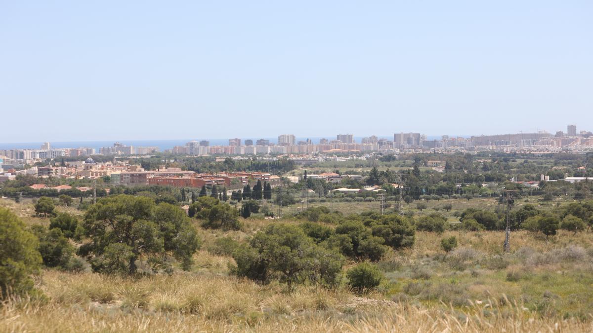 Huerta de alicante desde el monte Orgegia.