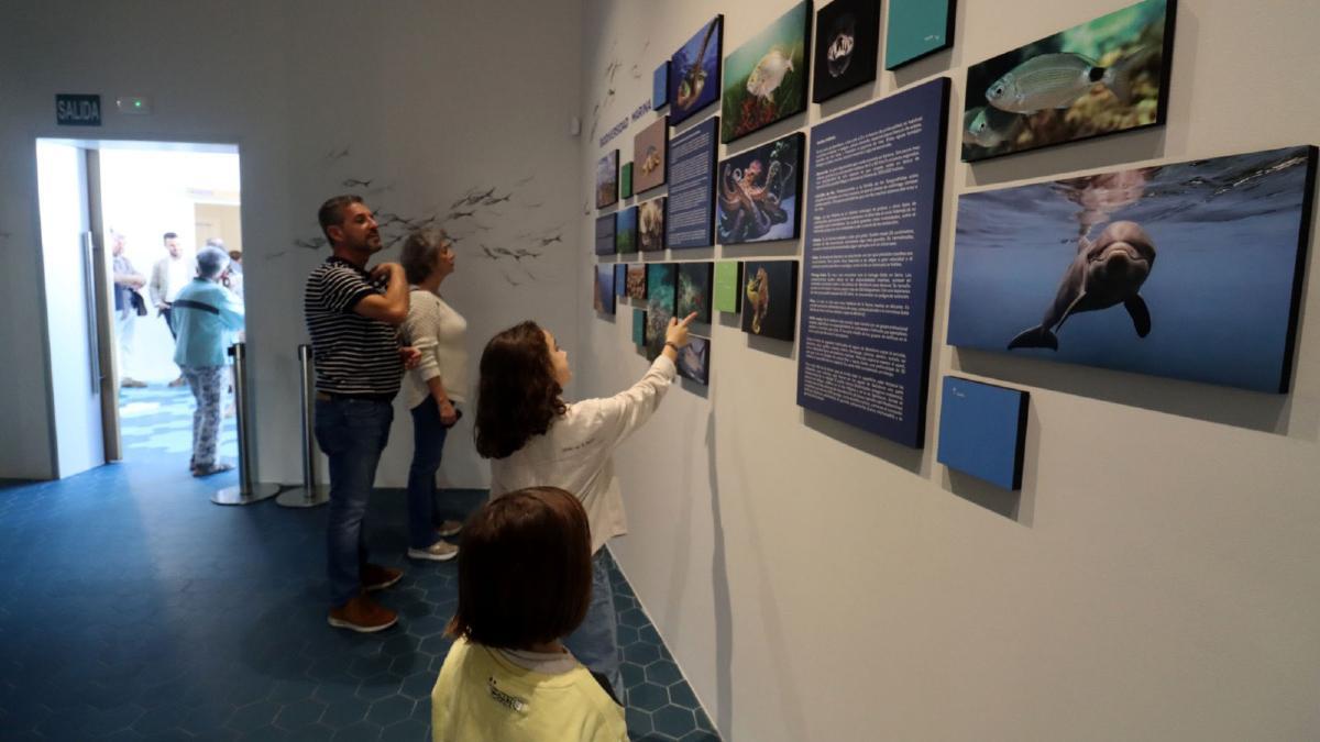 Benidorm abre al público el Aula del Mar