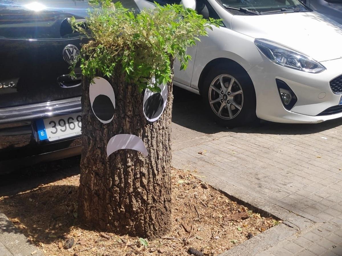 Uno de los tocones con ojos y boca de papel para llamar la atención de sobre la tala de árboles.