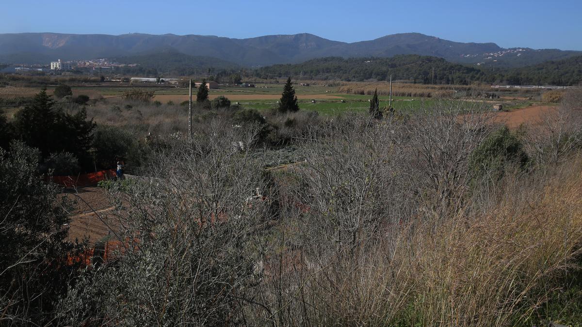 Terrenos del Pla de Ponent, en Gavà, afectados por el plan urbanístico.