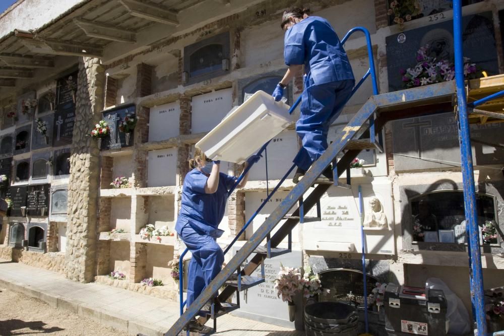 Exhumación fusilados de la guerra civil en el cementerio de Ontinyent