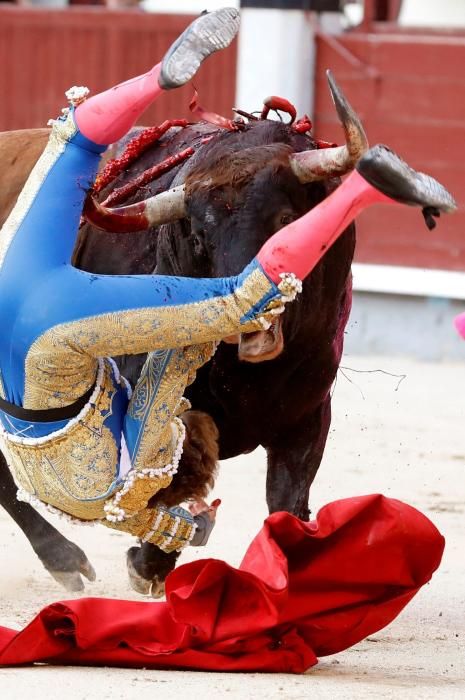 Espeluznante cornada del valenciano Román Collado en la plaza de toros de Las Ventas