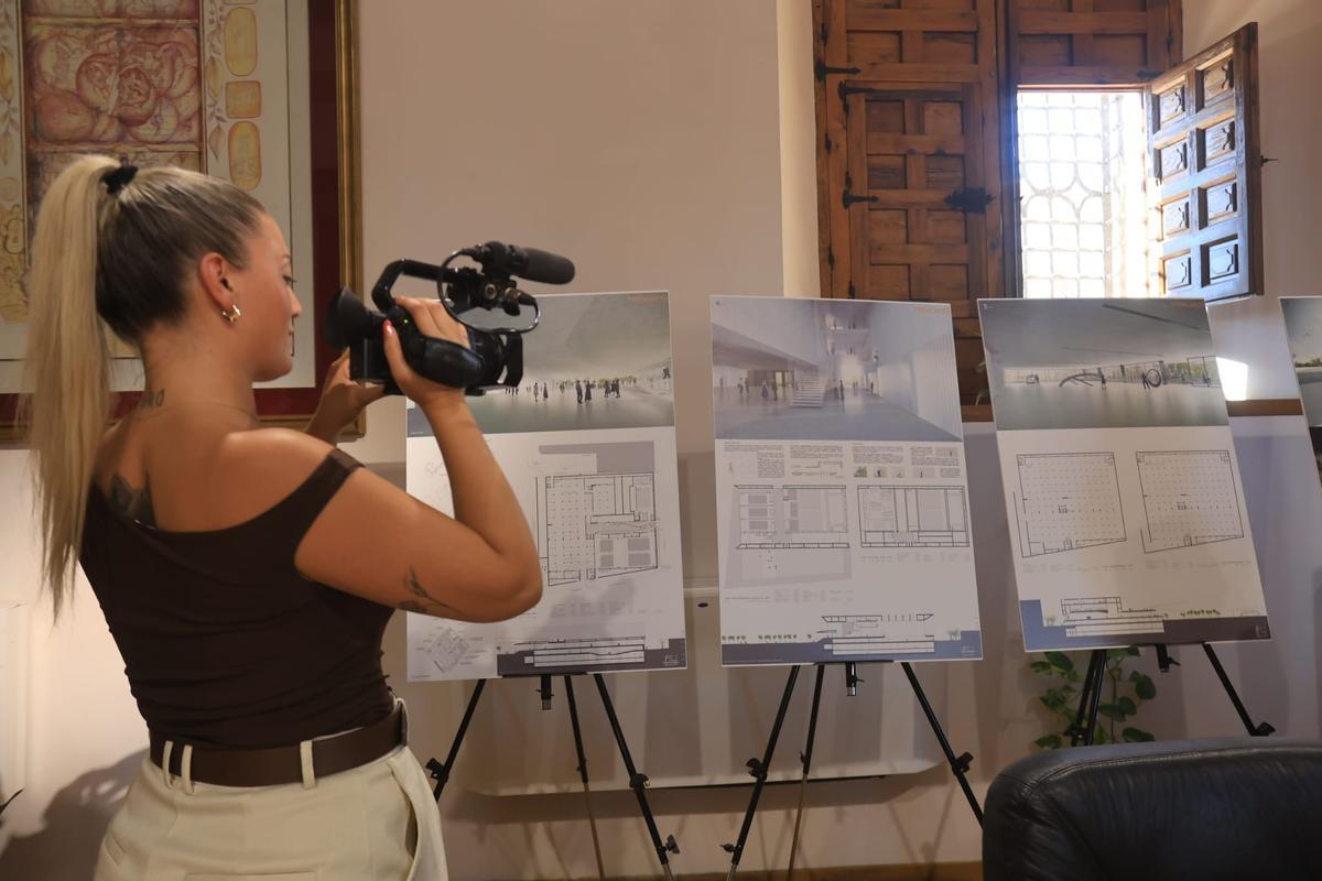 Los paneles que se expondrán en el hall del Ayuntamiento de Elche.