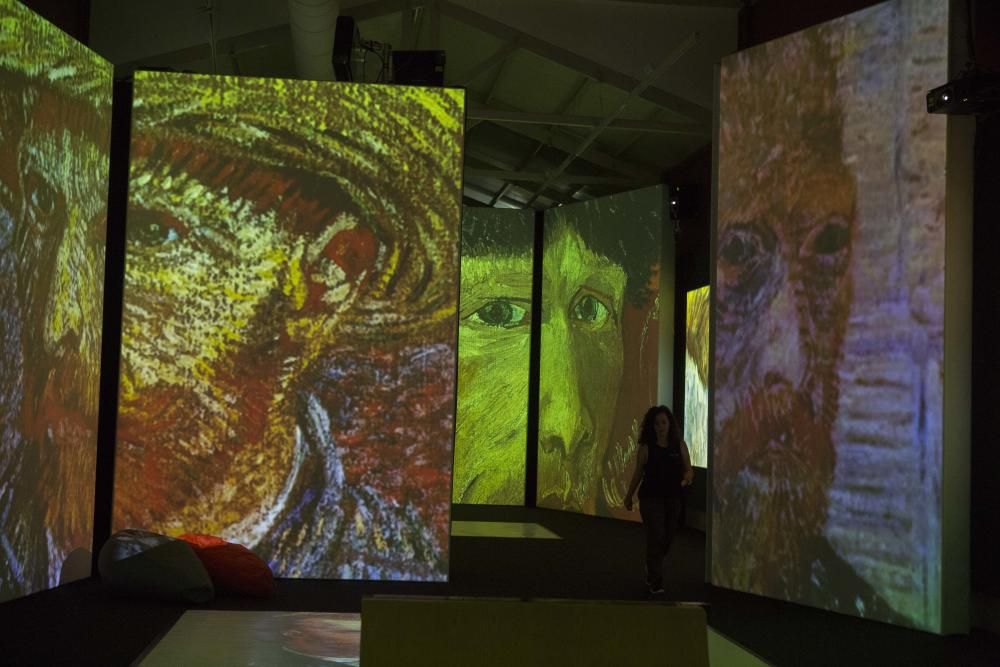 Exposición Van Gogh Alive Experience en Alicante