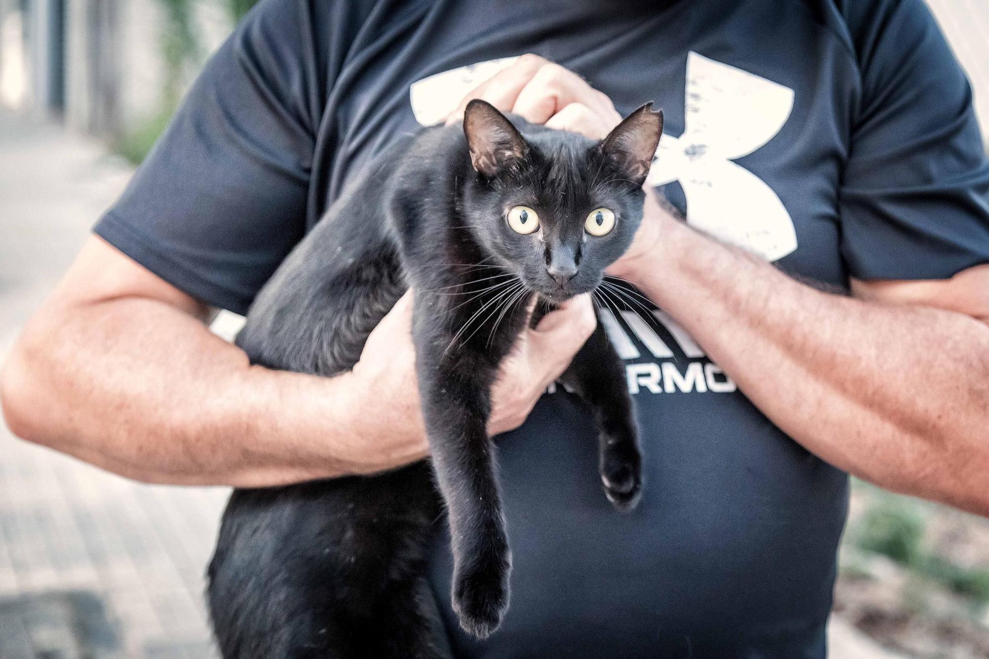 Colección premiada de David Piqueras