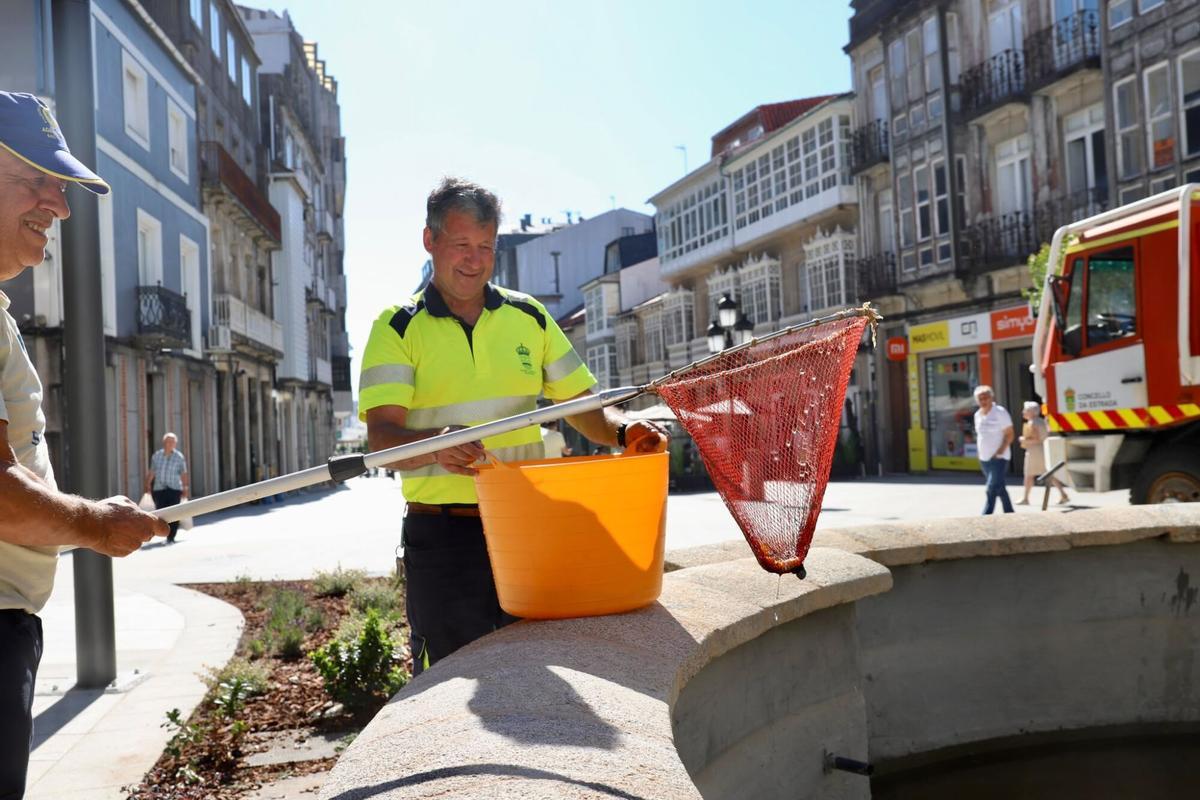 2026 XULLO. RESCATE PEIXES FONTE PRAZA DE GALICIA