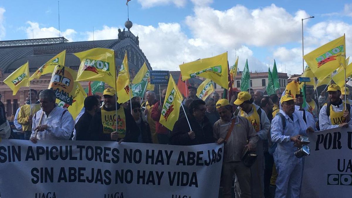 Concentración de apicultores que ha tenido lugar en Madrid