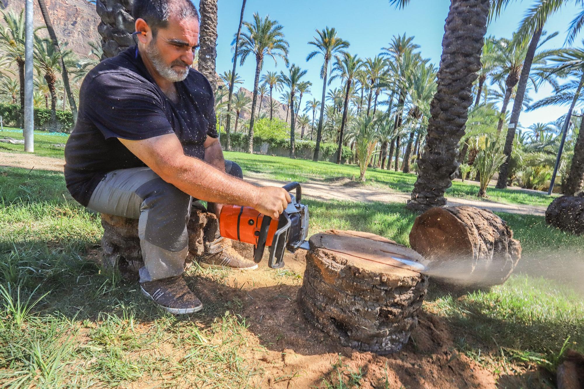 Orihuela celebra el Día del Medio Ambiente con talleres, rutas y un mercado de artesanía en su espacio más emblemático