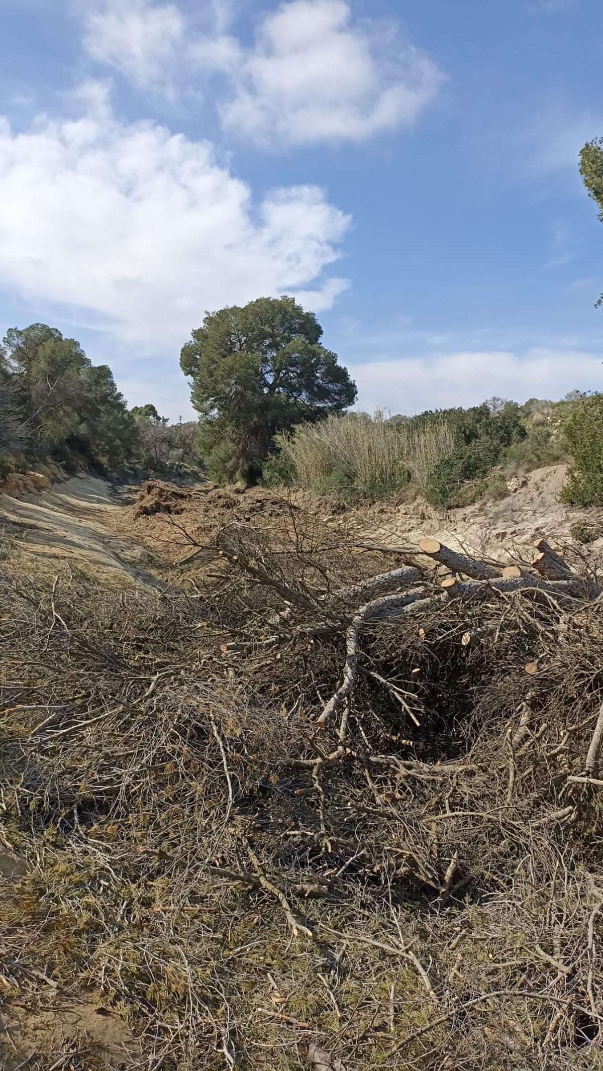 "Limpieza" en el cauce del río Nacimiento