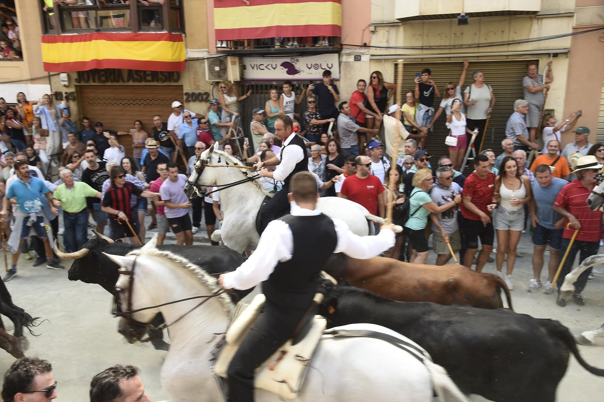 Las mejores fotos de la primera Entrada de Toros y Caballos de Segorbe tras la pandemia