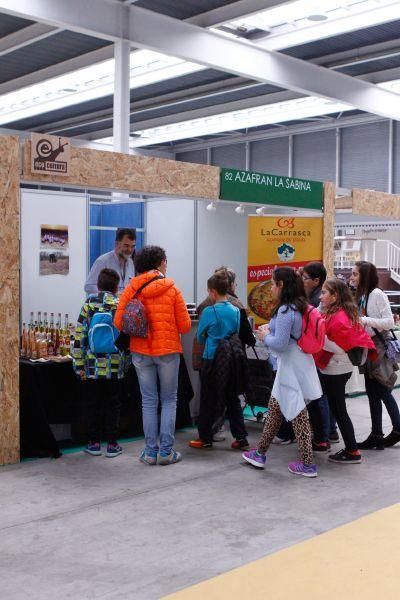 Ecocultura Zamora 2016