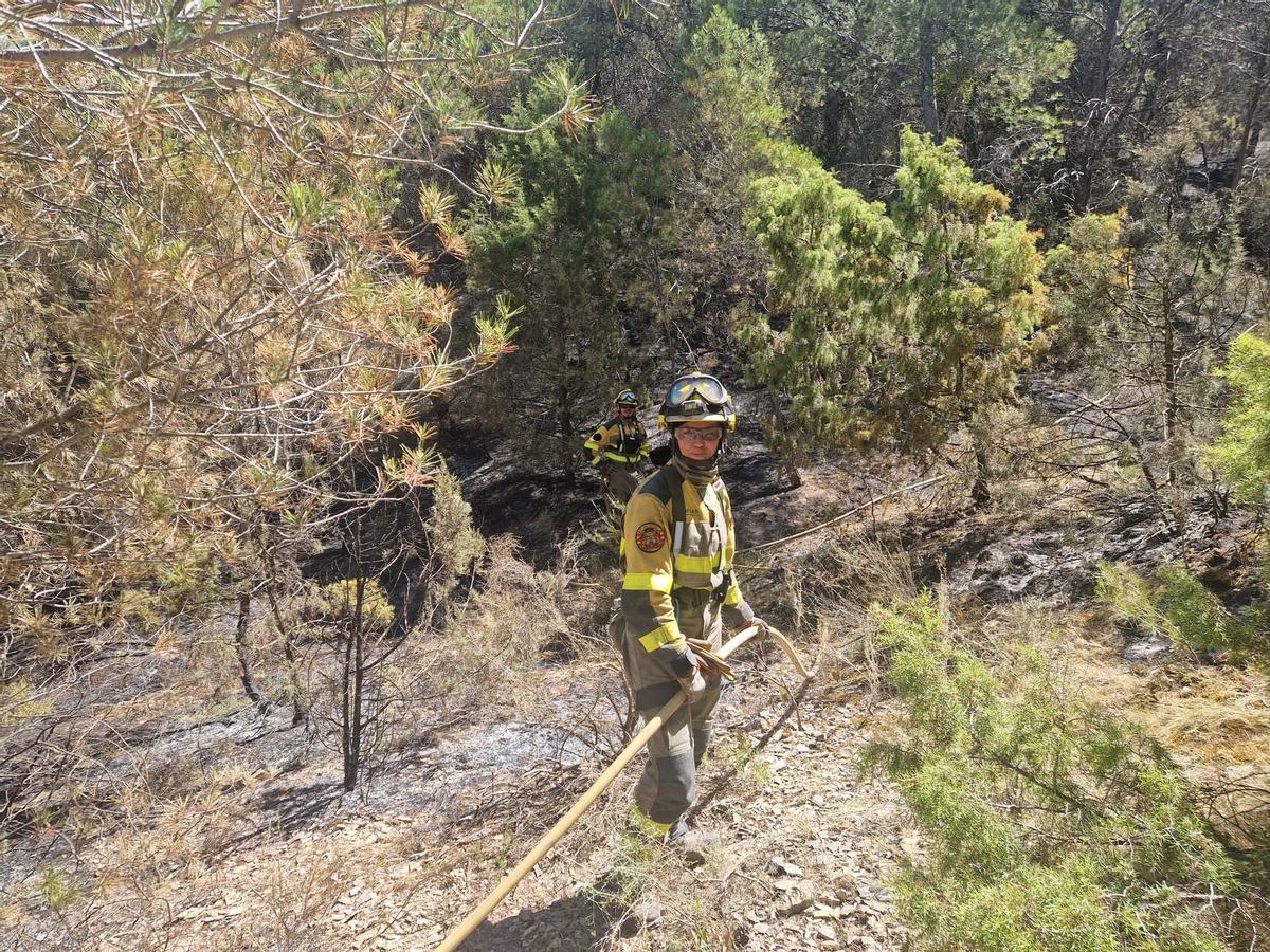 En imágenes I El operativo del Infoar en el sector 1 del incendio de Leciñena, este viernes En imágenes I El operativo del Infoar en el sector 1 del incendio de Leciñena, este viernes