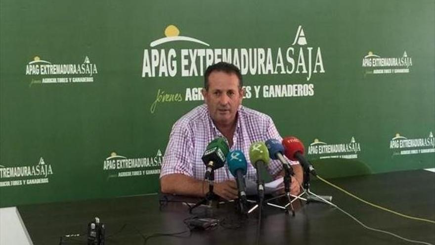 APAG Extremadura Asaja alerta de la posible «paralización» de la vendimia