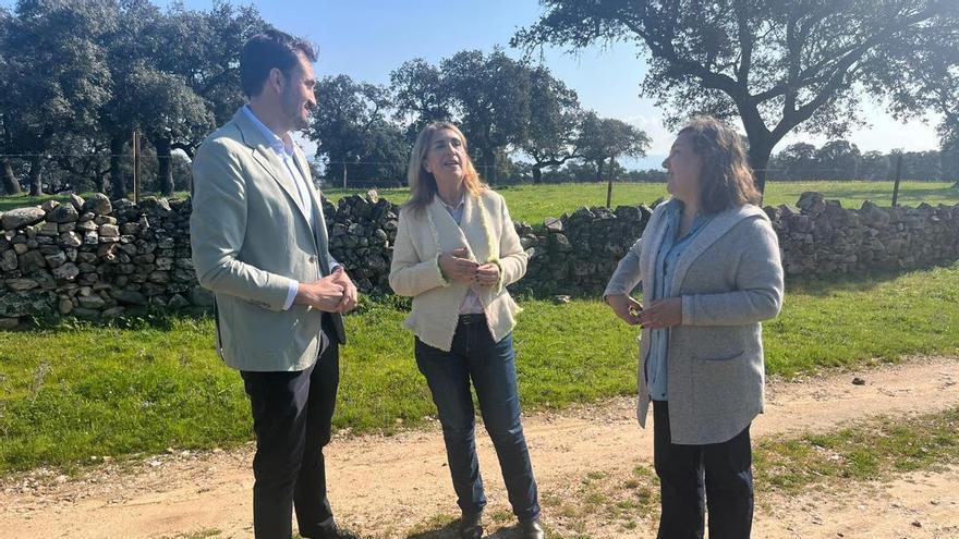 El Gobierno asumirá las pérdidas por el tren de borrascas que los seguros agrarios no cubran